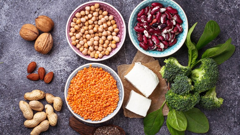 پروتئین گیاهی