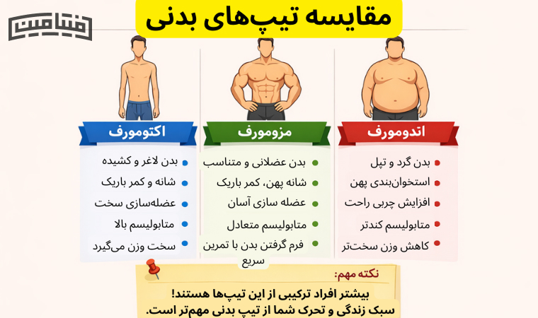 انواع تیپ بدنی