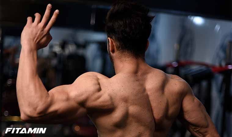 افزایش توده عضلانی با رژیم پروتئین