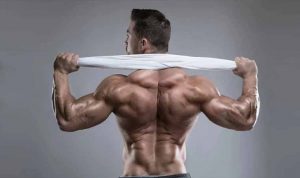 حرکات کول و بهترین راه پرورش عضله کول