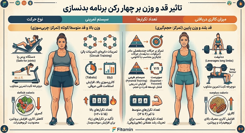 برنامه بدنسازی براساس قد و وزن