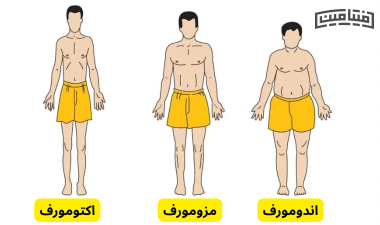 برنامه بدنسازی براساس قد و وزن