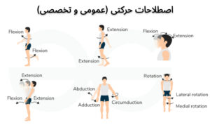 معرفی صفر تا صد اصطلاحات حرکتی