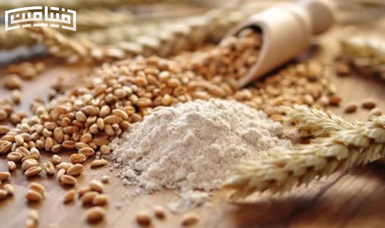 ارزش غذایی پودر جوانه گندم