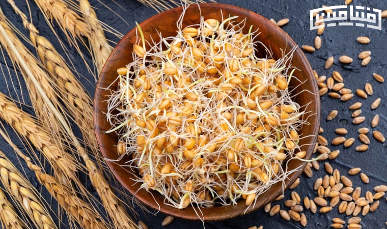 طرز تهیه پودر جوانه گندم