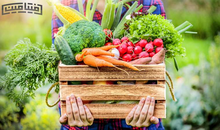 غذاهای حاوی آهن و روی
