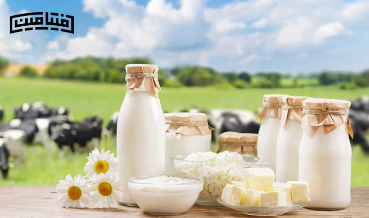 بهترین لبنیات برای عضله‌سازی