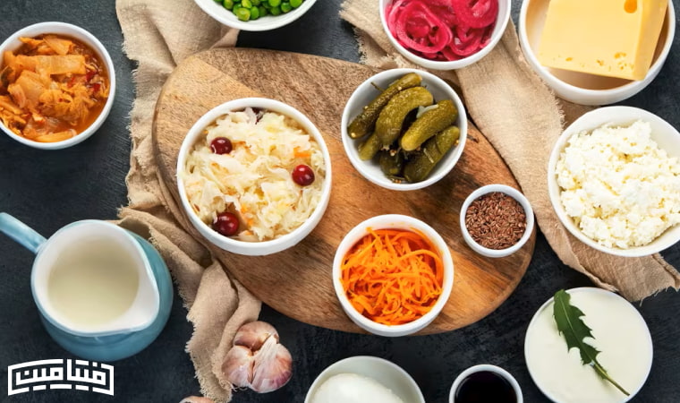 پروبیوتیک چیست